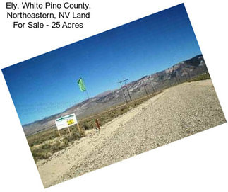 Ely, White Pine County, Northeastern, NV Land For Sale - 25 Acres