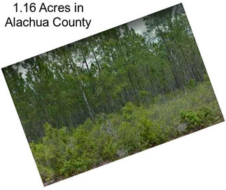 1.16 Acres in Alachua County