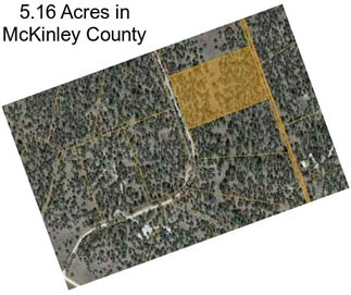 5.16 Acres in McKinley County