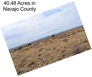 40.48 Acres in Navajo County