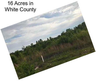 16 Acres in White County