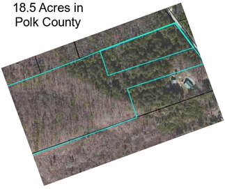 18.5 Acres in Polk County