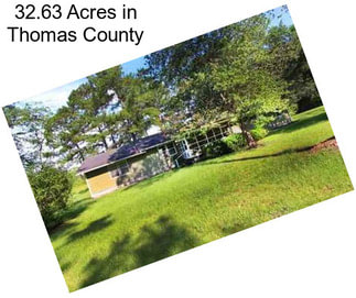 32.63 Acres in Thomas County