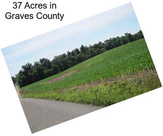 37 Acres in Graves County