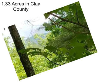 1.33 Acres in Clay County