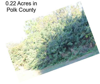 0.22 Acres in Polk County