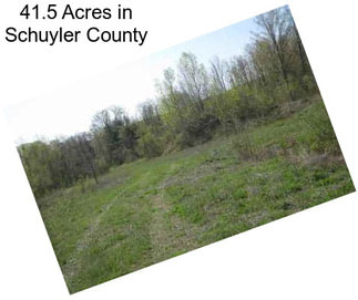 41.5 Acres in Schuyler County