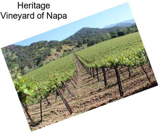 Heritage Vineyard of Napa