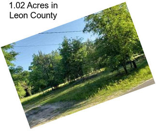 1.02 Acres in Leon County