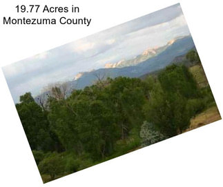 19.77 Acres in Montezuma County