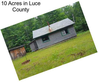 10 Acres in Luce County