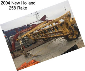 2004 New Holland 258 Rake