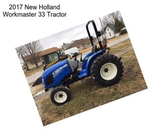 2017 New Holland Workmaster 33 Tractor