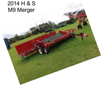 2014 H & S M9 Merger