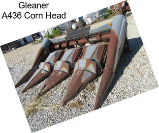 Gleaner A436 Corn Head