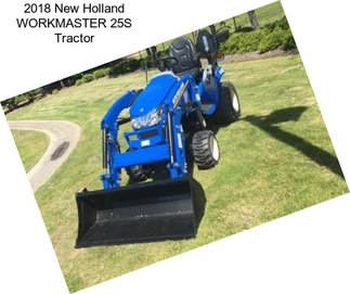 2018 New Holland WORKMASTER 25S Tractor
