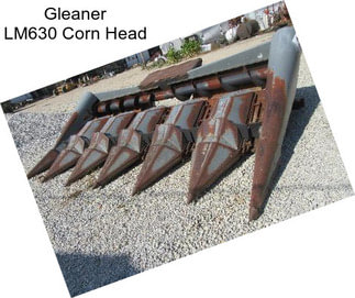 Gleaner LM630 Corn Head