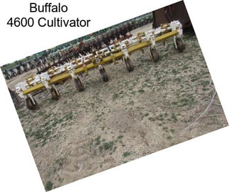 Buffalo 4600 Cultivator