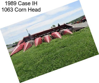 1989 Case IH 1063 Corn Head