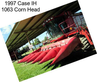 1997 Case IH 1063 Corn Head