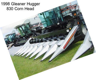 1998 Gleaner Hugger 830 Corn Head