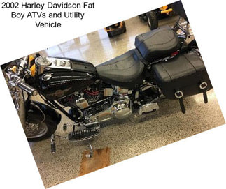 2002 Harley Davidson Fat Boy ATVs and Utility Vehicle