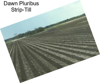 Dawn Pluribus Strip-Till