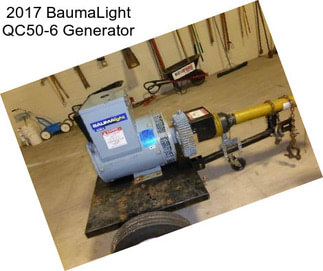 2017 BaumaLight QC50-6 Generator