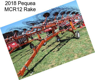 2018 Pequea MCR12 Rake