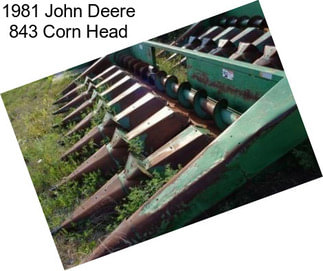 1981 John Deere 843 Corn Head