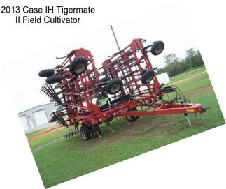 2013 Case IH Tigermate II Field Cultivator