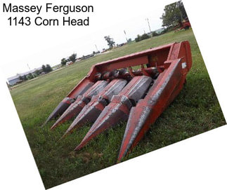 Massey Ferguson 1143 Corn Head