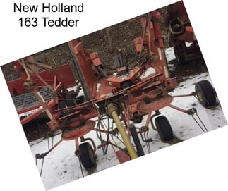 New Holland 163 Tedder