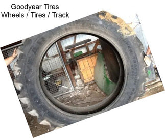 Goodyear Tires Wheels / Tires / Track