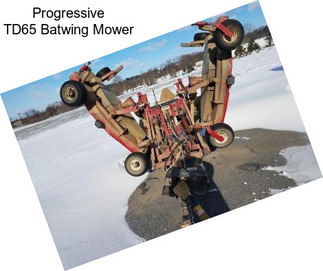 Progressive TD65 Batwing Mower