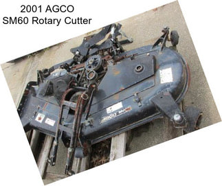 2001 AGCO SM60 Rotary Cutter