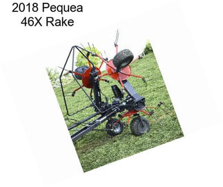 2018 Pequea 46X Rake