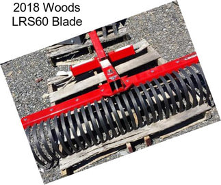 2018 Woods LRS60 Blade