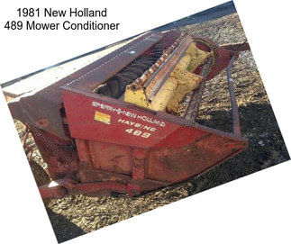 1981 New Holland 489 Mower Conditioner