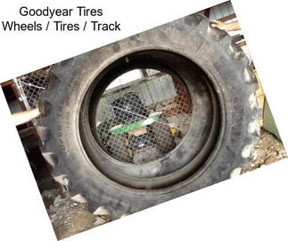 Goodyear Tires Wheels / Tires / Track