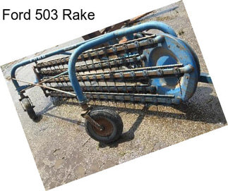 Ford 503 Rake