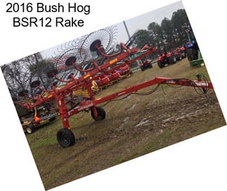 2016 Bush Hog BSR12 Rake