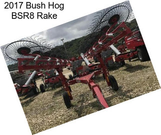 2017 Bush Hog BSR8 Rake