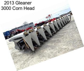 2013 Gleaner 3000 Corn Head