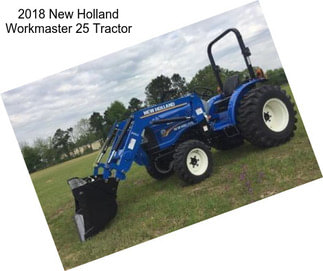 2018 New Holland Workmaster 25 Tractor