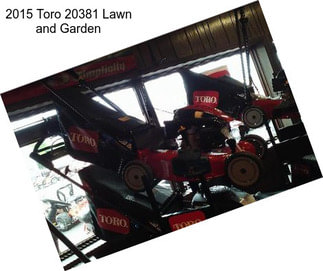 2015 Toro 20381 Lawn and Garden