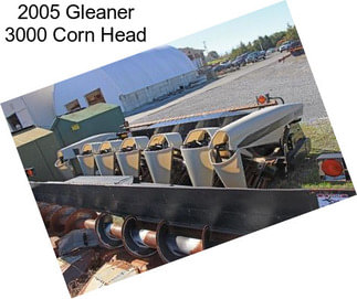 2005 Gleaner 3000 Corn Head