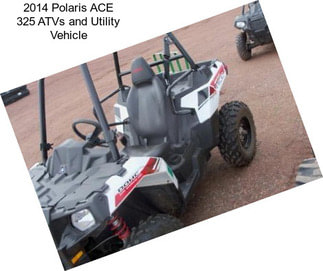 2014 Polaris ACE 325 ATVs and Utility Vehicle