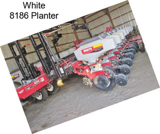 White 8186 Planter