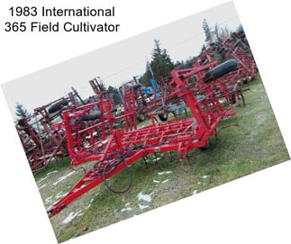 1983 International 365 Field Cultivator